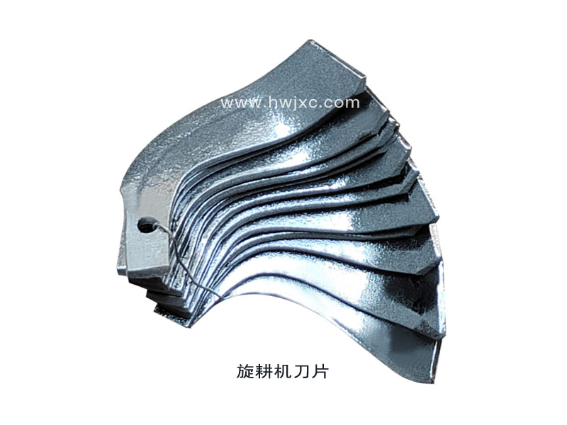 �����C������������������Ƭ